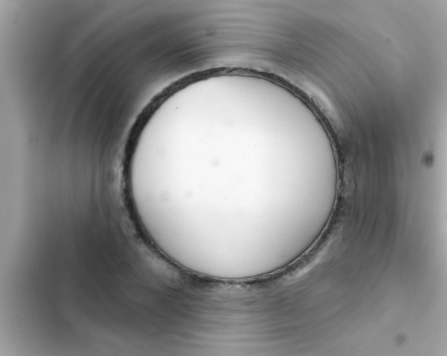 X0000102400880200808151941