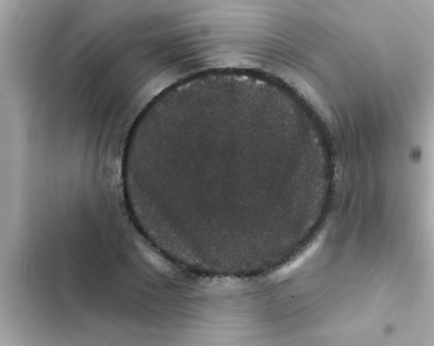 X0000102400881200808151941