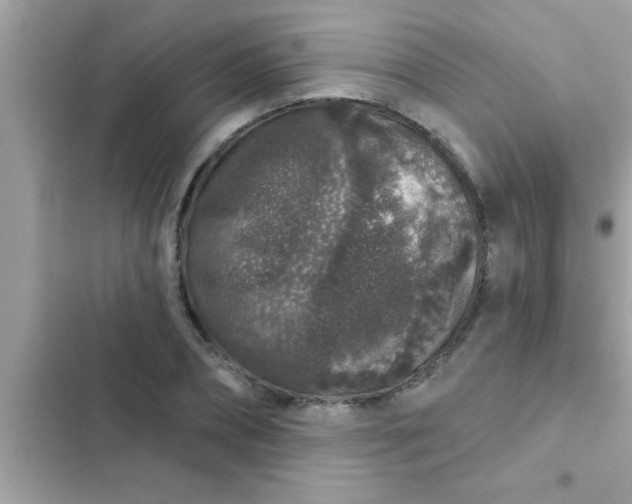 X0000102400882200808151941