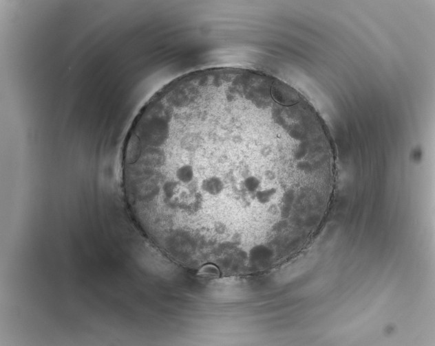 X0000102400883200808151940