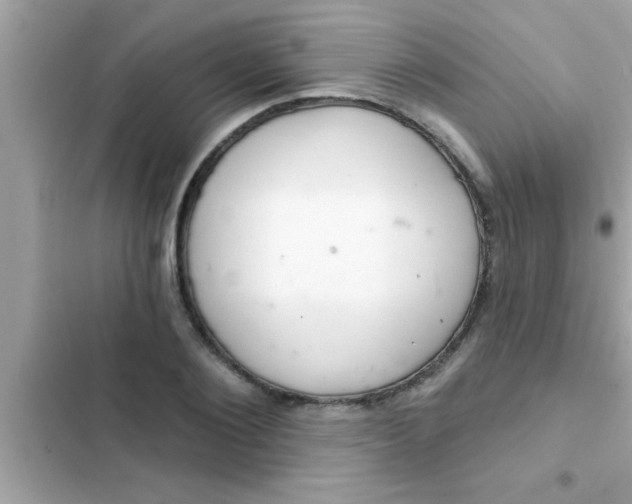 X0000102400884200808151940