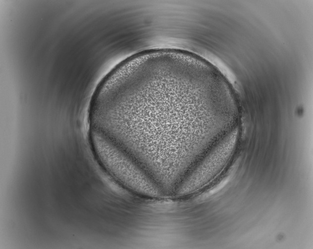 X0000102400885200808151940