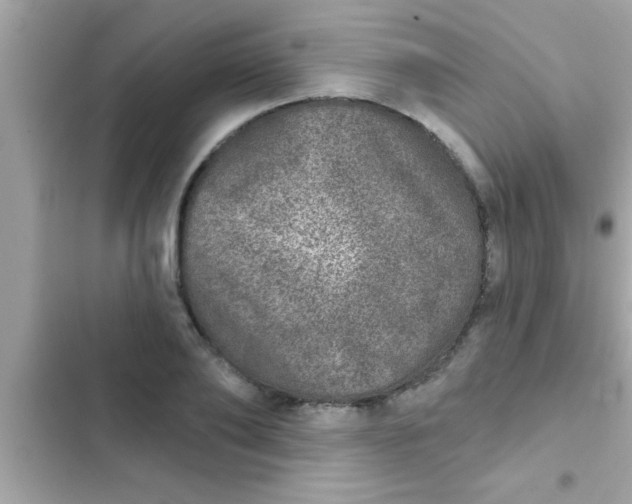 X0000102400886200808151940