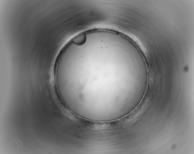 X0000102400887200808151940