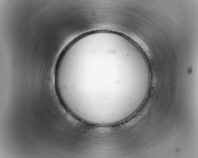 X0000102400888200808151940