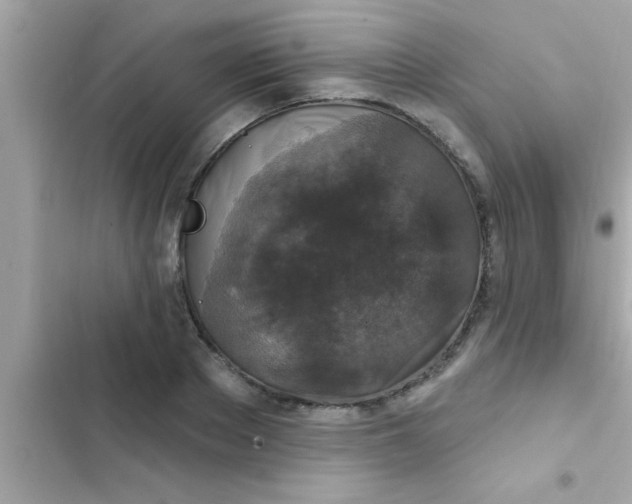 X0000102400889200808151940