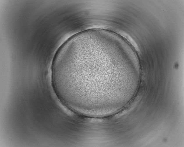 X0000102400890200808151940