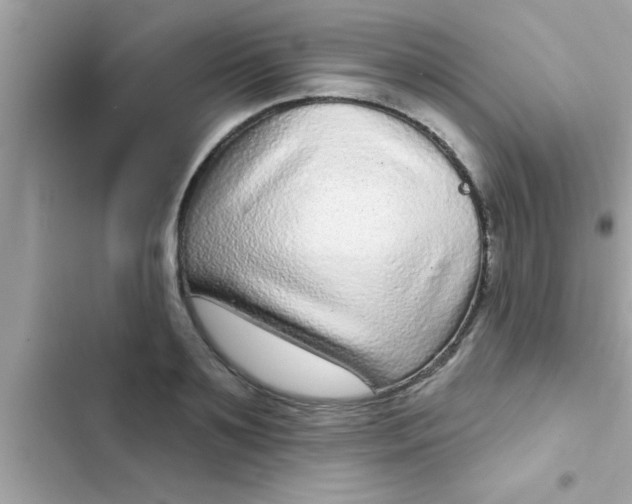 X0000102400891200808151940