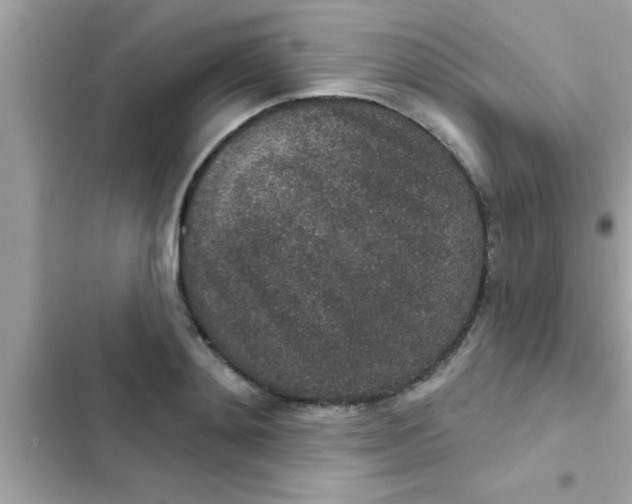 X0000102400892200808151940