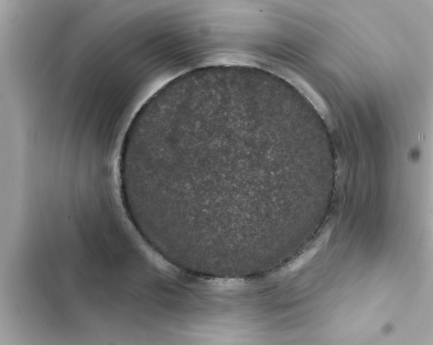 X0000102400893200808151940