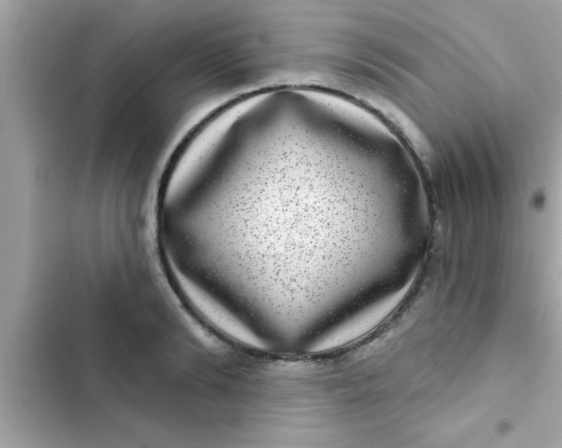 X0000102400894200808151940