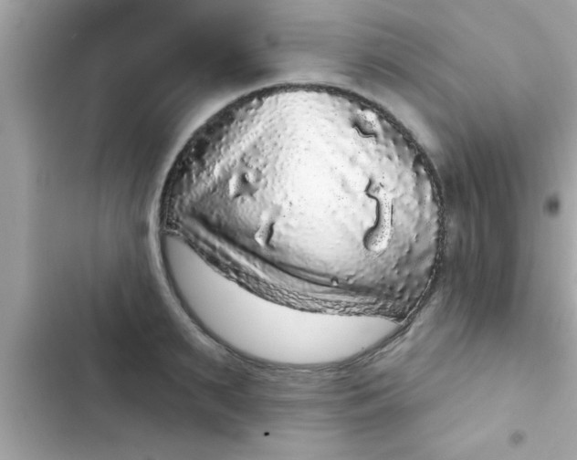 X0000102400895200808151940