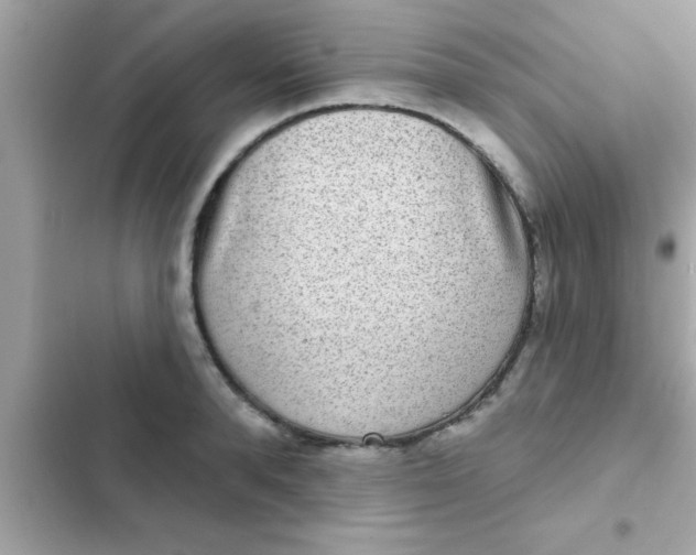 X0000102400896200808151940