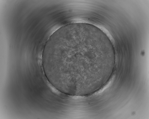 X0000102400897200808151940