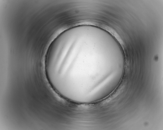 X0000102400898200808151940