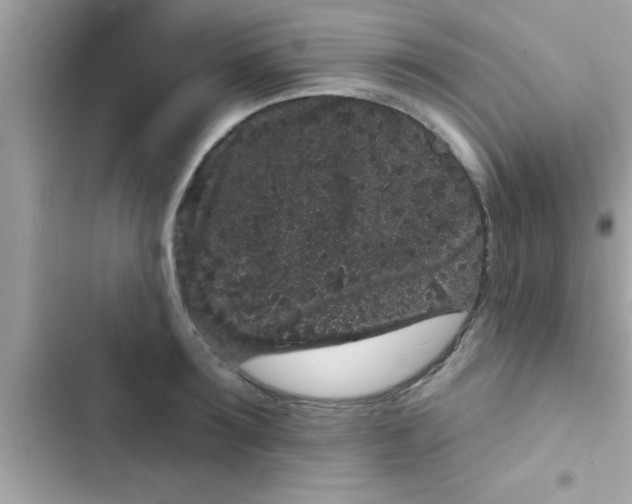 X0000102400899200808151940