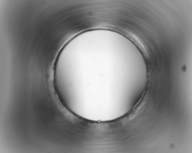 X0000102400900200808151940