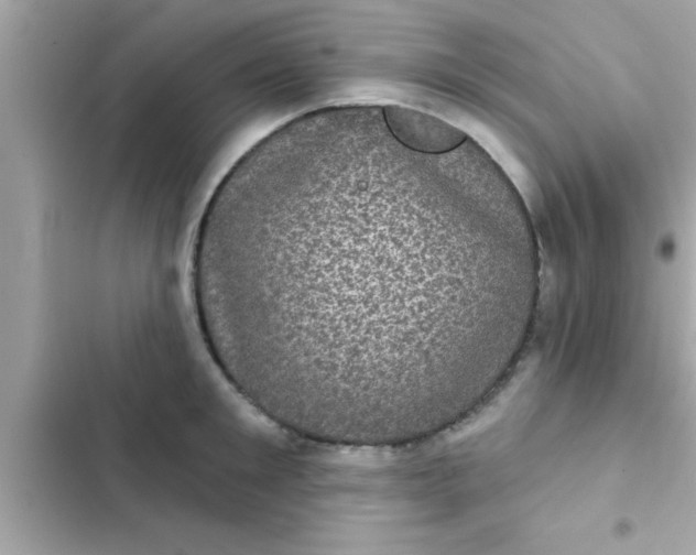 X0000102400901200808151940