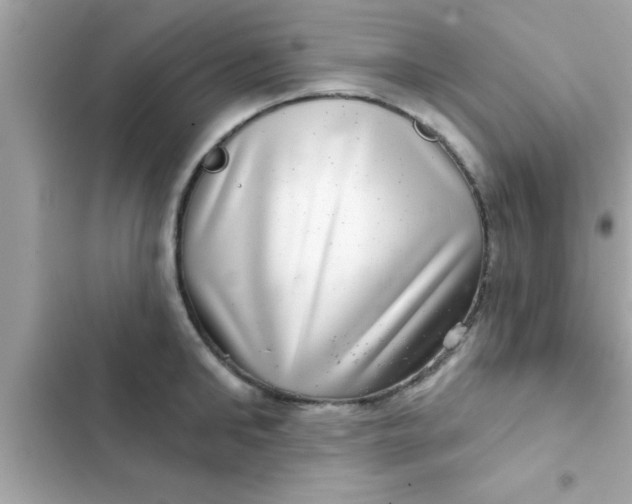 X0000102400902200808151940