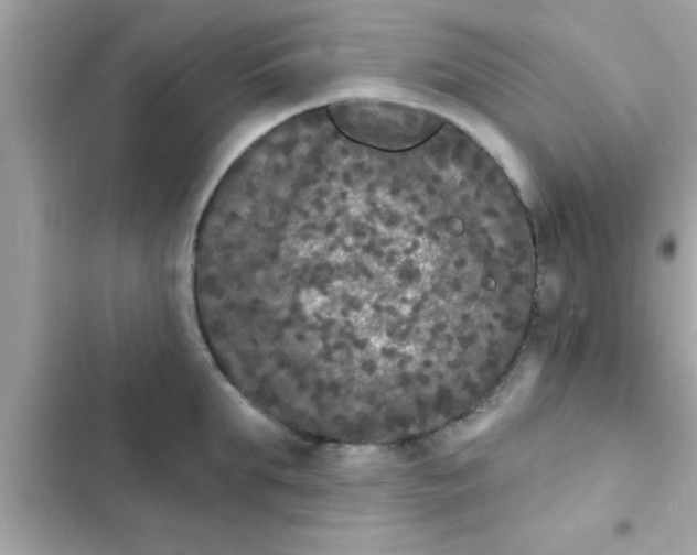 X0000102400903200808151940