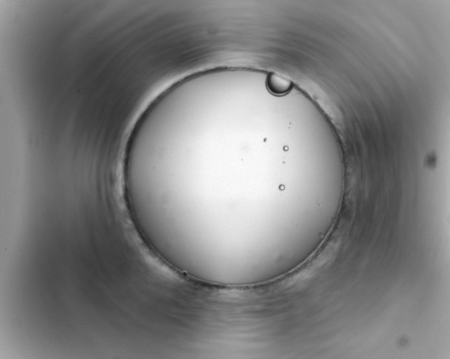 X0000102400904200808151940