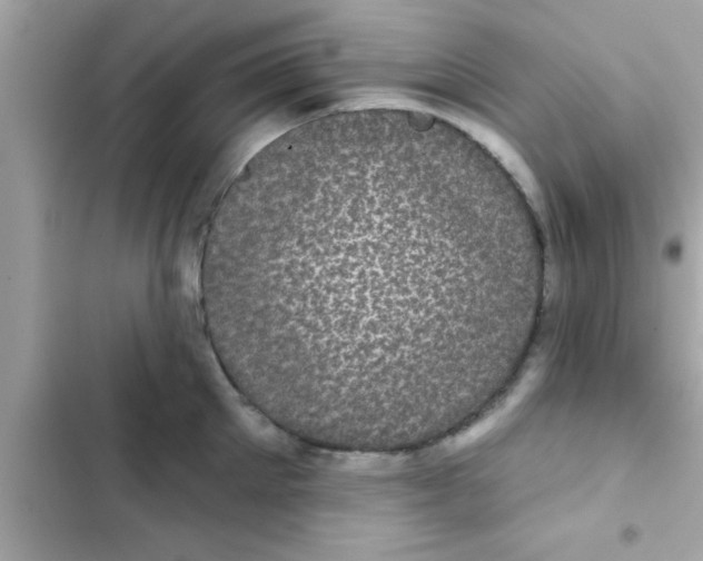 X0000102400905200808151940