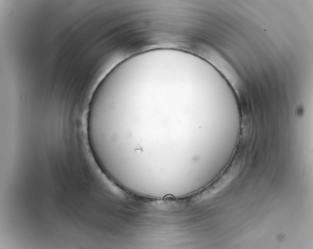 X0000102400906200808151940