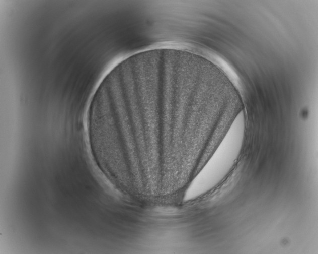 X0000102400907200808151940