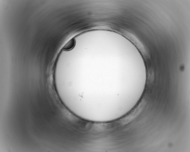 X0000102400908200808151940