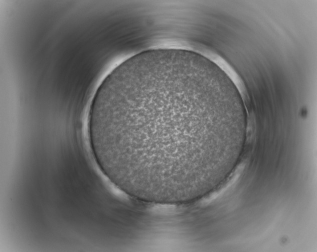 X0000102400909200808151940