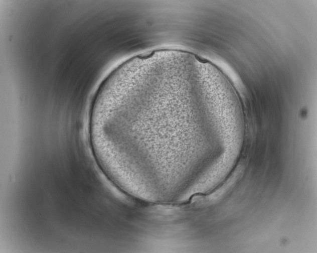 X0000102400910200808151940