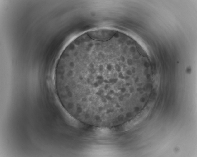 X0000102400911200808151940