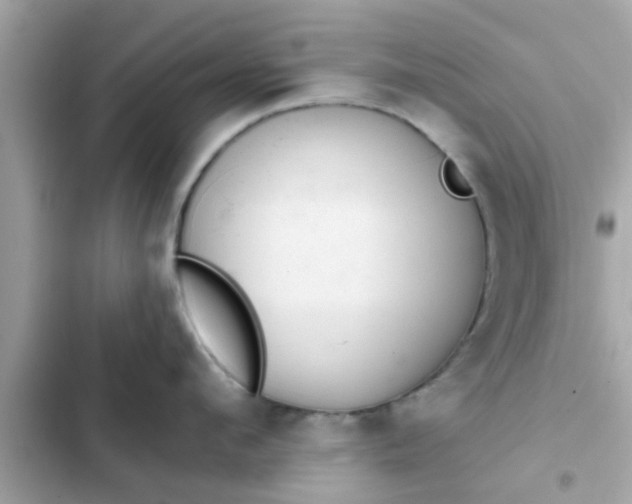 X0000102400912200808151940