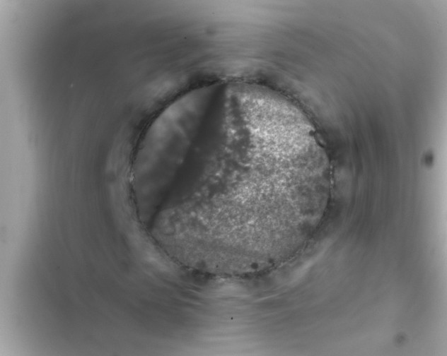 X0000102400913200808151939