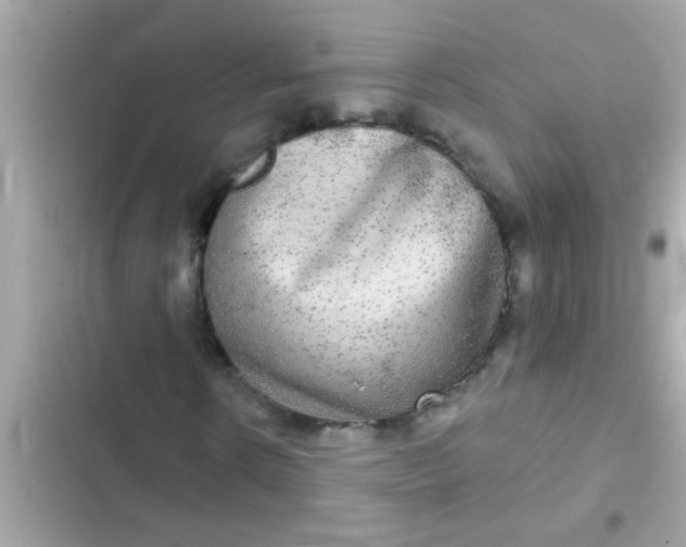 X0000102400914200808151939