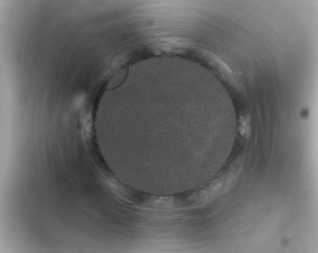 X0000102400915200808151939