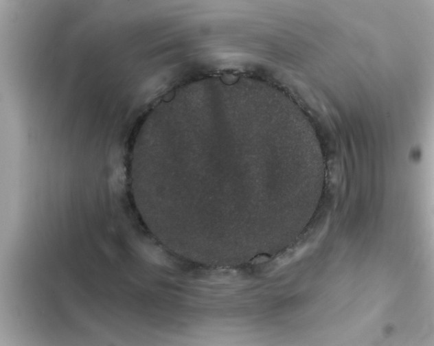 X0000102400916200808151939