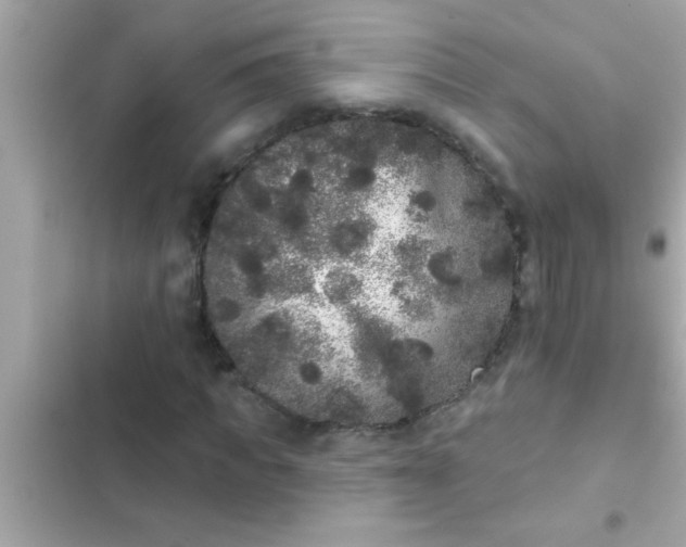 X0000102400917200808151939