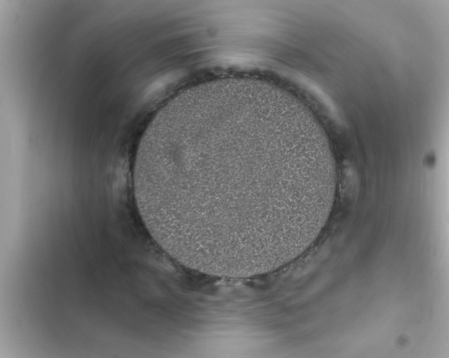 X0000102400918200808151939