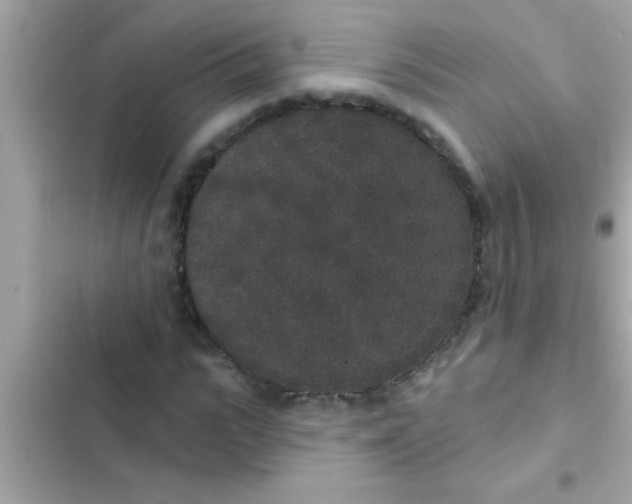 X0000102400919200808151940