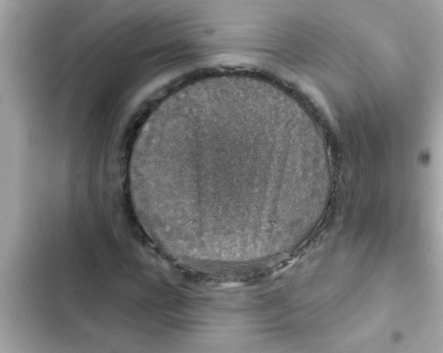 X0000102400920200808151940