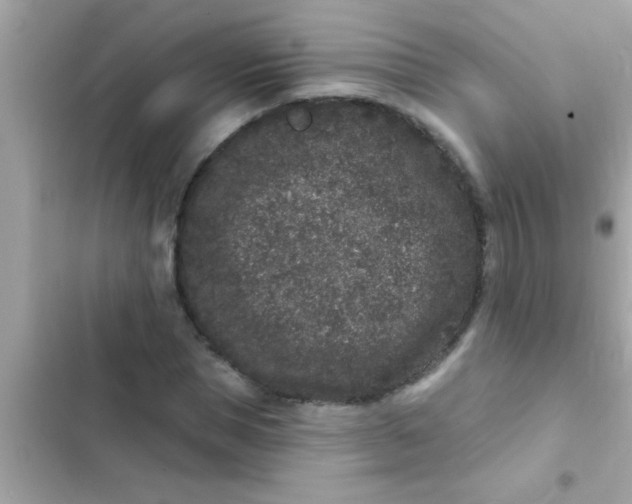 X0000102400921200808151940