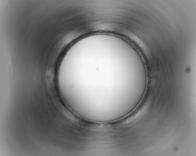 X0000102400922200808151940