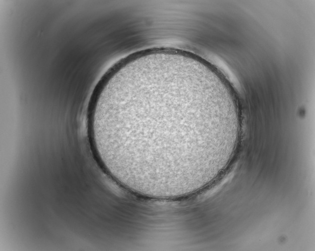 X0000102400924200808151940