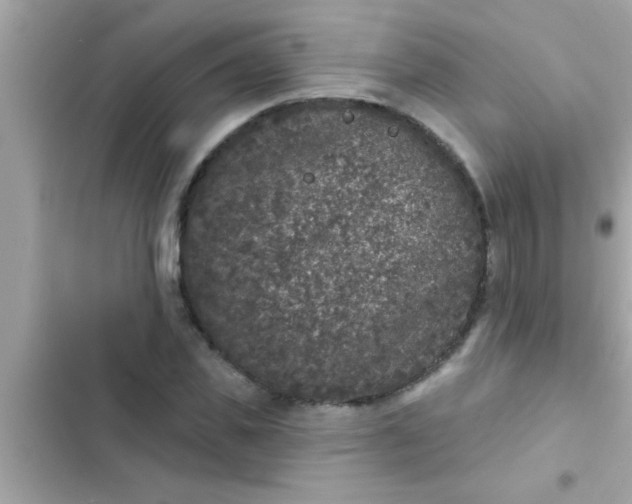 X0000102400925200808151940