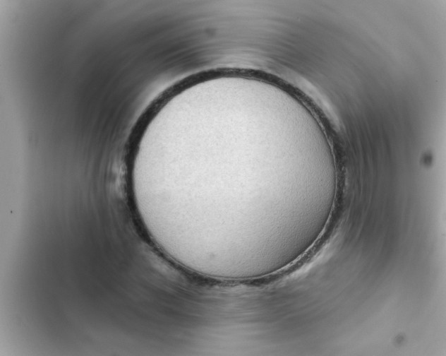 X0000102400926200808151940