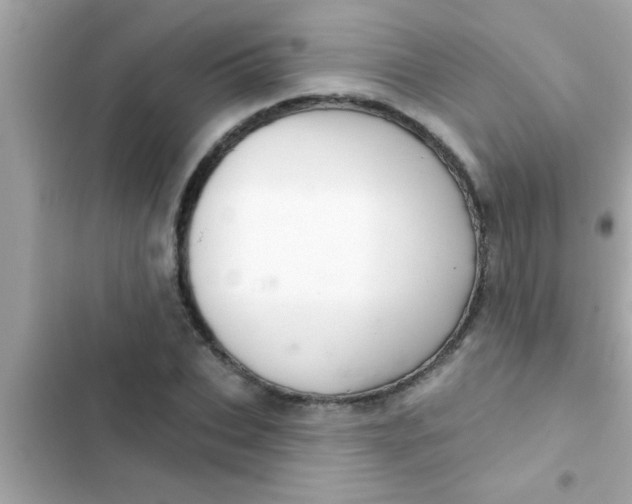 X0000102400927200808151940