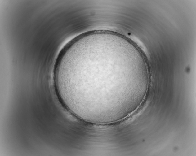 X0000102400928200808151940