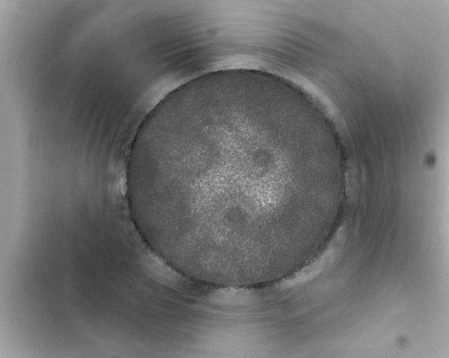 X0000102400929200808151940