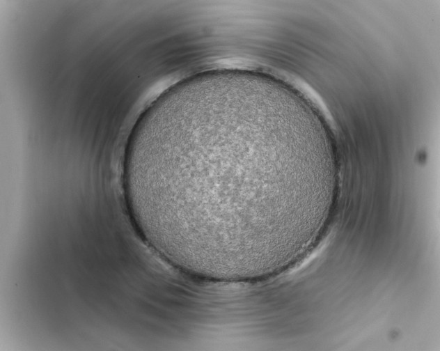 X0000102400930200808151940